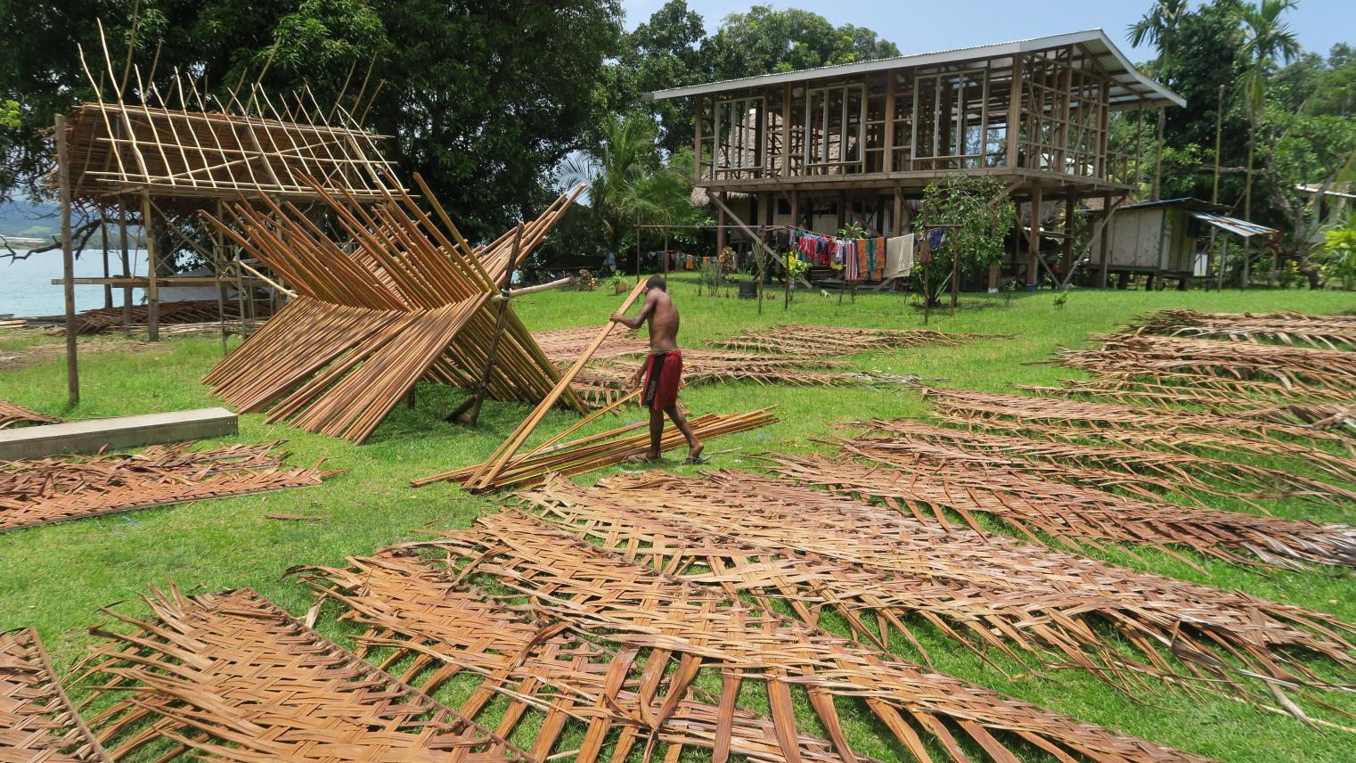 Image by Shaun Gessler